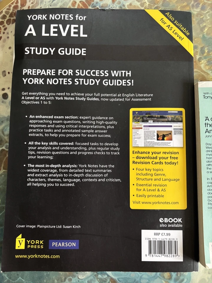 The Great Gatsby York Notes for A Level - Study and Revision Guide - Image 2 of 2