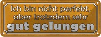 Blechschild 10X27 Cm Bin Nicht Perfekt Gut Gelungen Spruch Zitat Deko Geschenk M