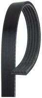 Keilrippenriemen 5PK1810
