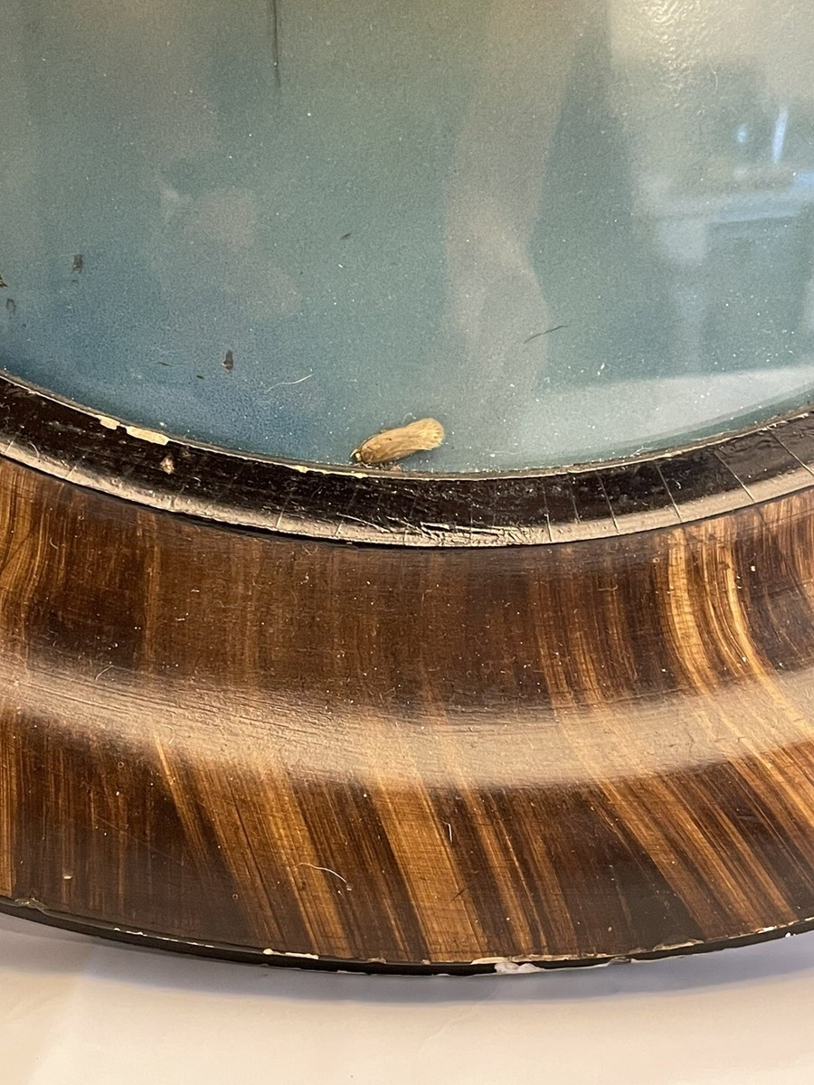 Antique Tiger Wood Oval FRAME Convex Bubble Glass Picture Portrait