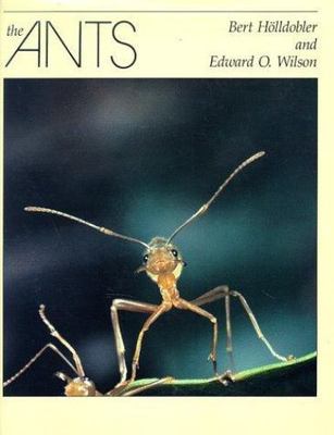 The Ants, Bert Holldobler,Edward O. Wilson, Very Good Book