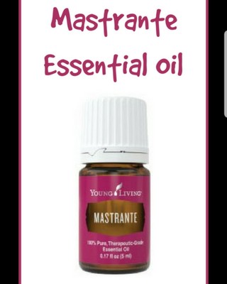 Aceite Esencial De Verbena Blanca Mastrante Young Living