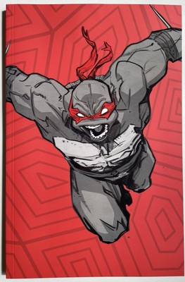 Teenage Mutant Ninja Turtles #1 Joëlle Jones Close Up Squarebound Variant Cover