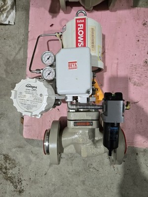 Valtek Flowserve Mark One Flow Control Valve With BETA Positioner
