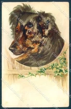 Animals Dog Shepherd CORNER CREASE cartolina postcard TW1281