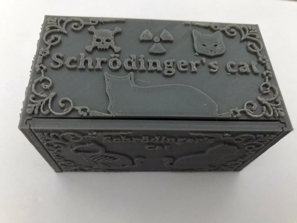 Apertura de Gato Schrödinger Modelo Único Adorno Física Regalo Su Pintable Foto 3 de 4