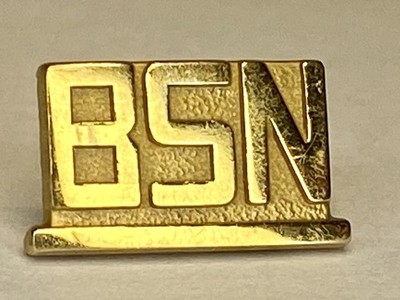 Vintage 10K Gold Jostens BSN Bachelor of Science in Nursing Pin 1.36gr