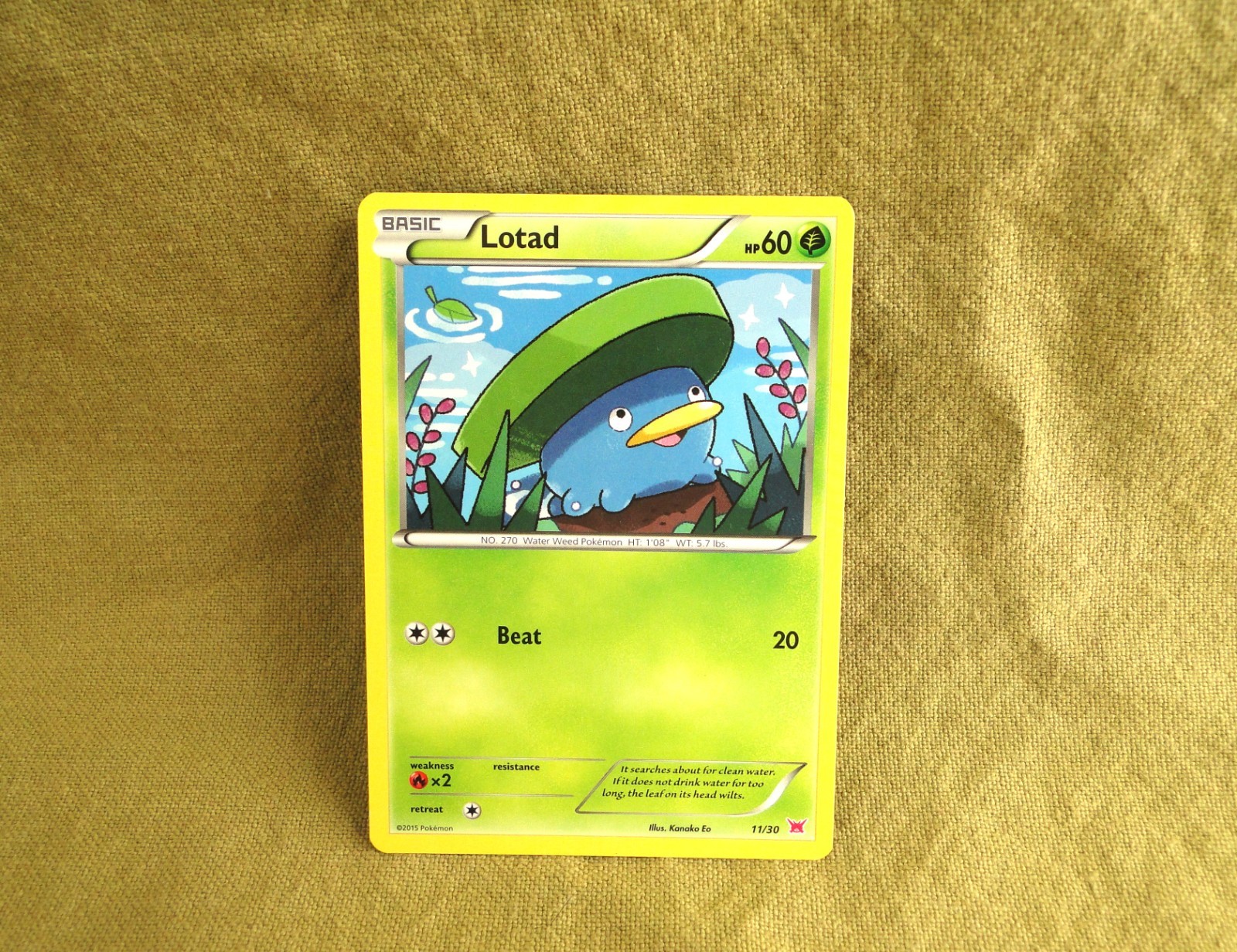 Pokemon Trading Card - Latias Trainer Kit: Lotad 11/30
