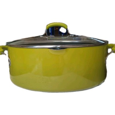 Rachael Ray Cucina 8 Qt Oval Pasta Pot Enamel Green Lid Large Some Minor Scratch