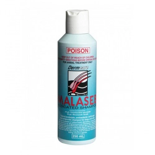 Giải pháp trị nấm, viêm da cho thú cưng với Malaseb Medicated Shampoo