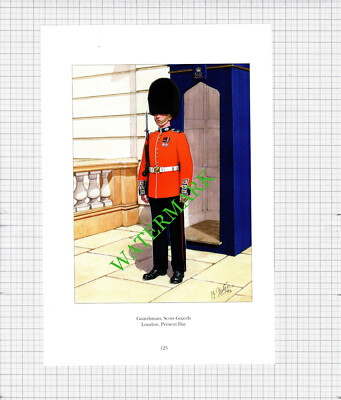Guardsman Scots Guards London - ca. 1990er Druck