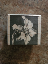 HERO ARTS E1776 Floral Engraving Daffodil Rubber Stamp 1999
