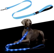 Light up Dog Leash - 5 Ft LED Pet Leash Rechargeable Glow in the Dark Dog Rope S