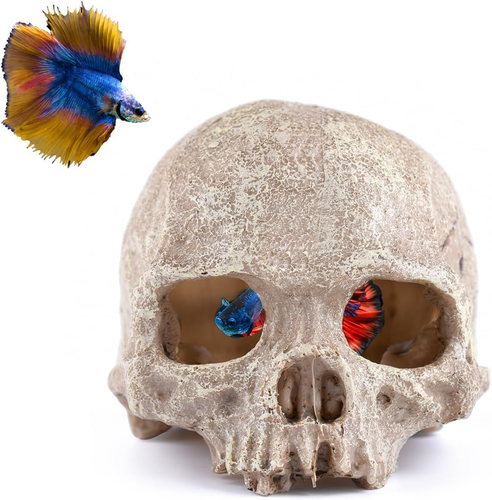 Aquarium Decoration Skull Fish Tank Head Skeleton Aquarium Decorative Cave Lands - Picture 1 of 13