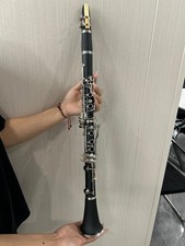 17 Key B Flat Clarinet Black Nickel Keys Woodwind Instrument for Student Beginne