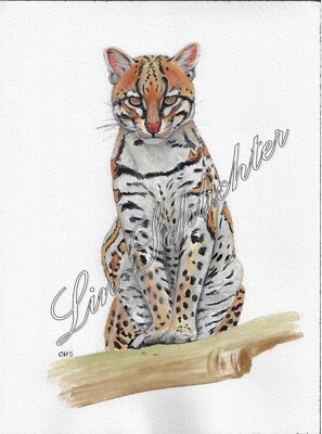 Ocelot; leopard ; 9x12 Original Painting