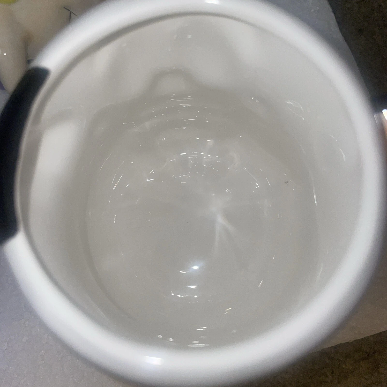 Picture 5 of 15