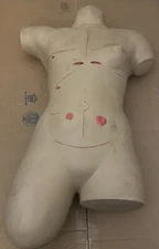 Nasco Lifeform Replicas Surgical Sally Surgical Banding Simulator