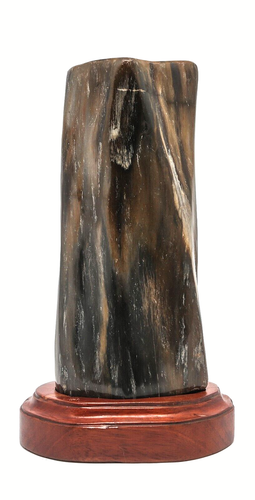 1800Gr BEAUTIFUL NATURAL POLISHED PETRIFIED WOOD INDONESIA - Picture 2 of 9