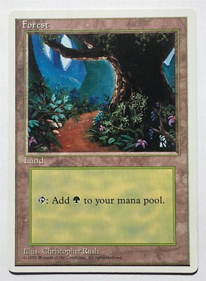 Magic MTG - Forest (Path) - Alternate 4th Fourth Edition Glossy - LP