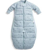 Toddlers Soft Cotton Jersey The Dragonflies Sleeping Bag or a SleepingSuit 2-4