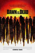 Dawn Of The Dead Ving Rhames Movie Poster 17 X 12 Reproduction