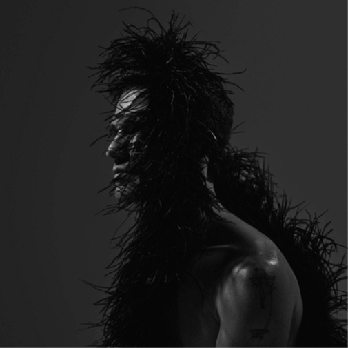 Chris Garneau Yours (CD) Album