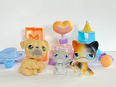 Littlest Pet Shop Birthday Celebration 2005 LPS Mouse #105 Littlest Pet Shop Birthday Celebration 2005 LPS Mouse #105