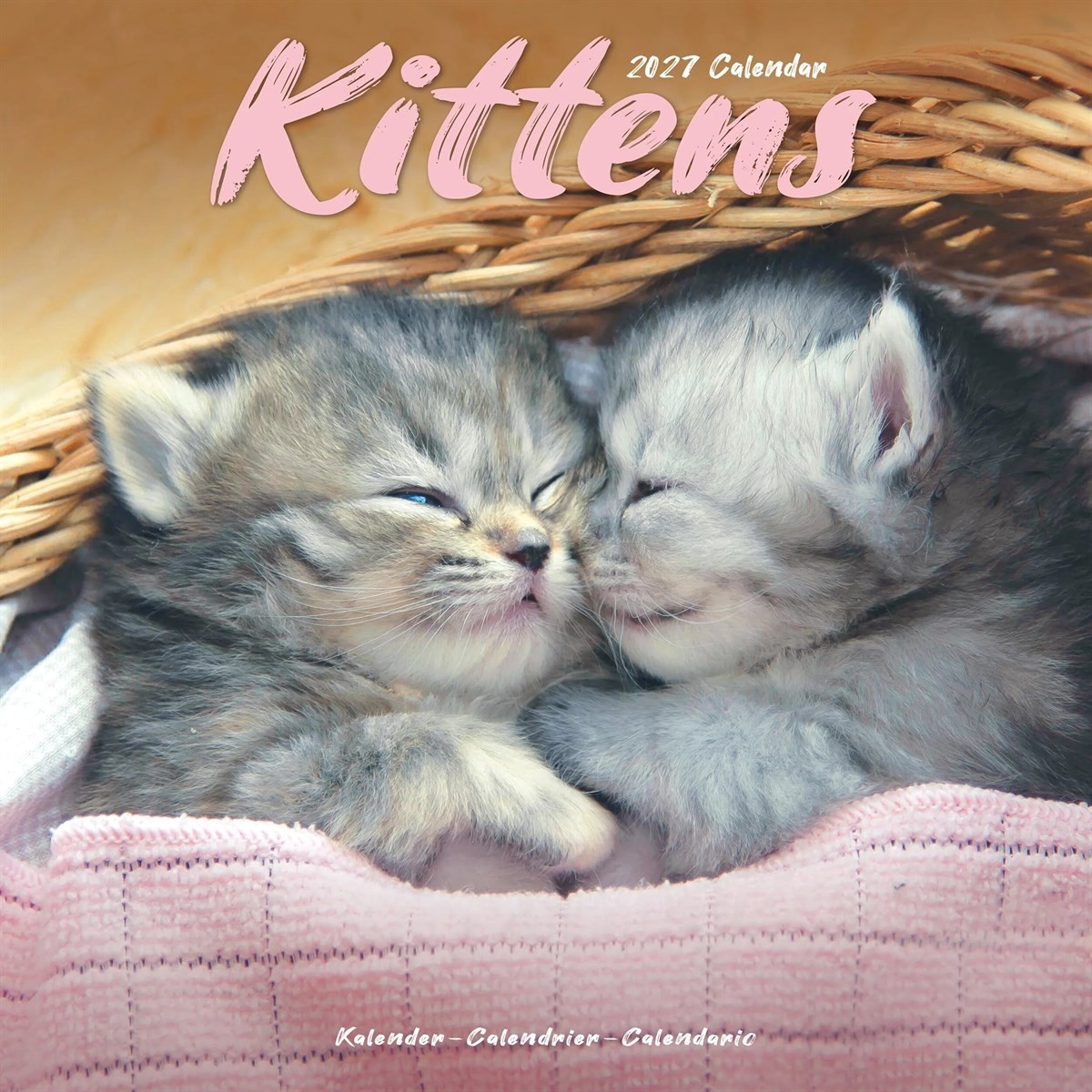 Kittens Calendar 2027, Wall Calendars, Month To View, Cats, Gift