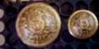 Rhode Island State Seal buttons D. Evans Attleborough Mass