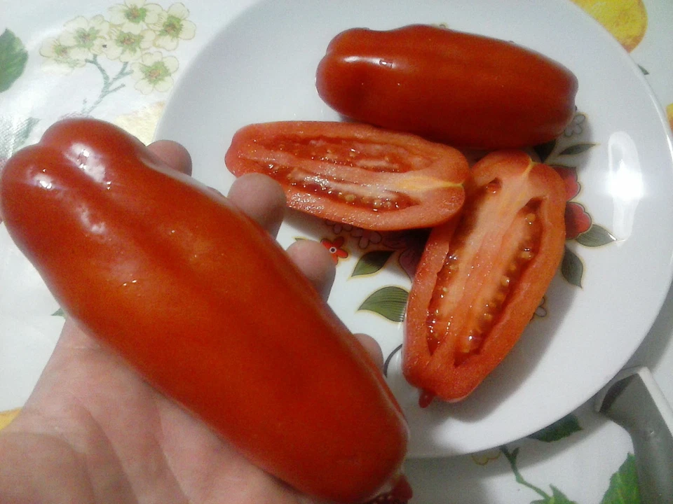 Tomato San Marzano Pasta Box, Salad, 80 Seeds Italian Tomato