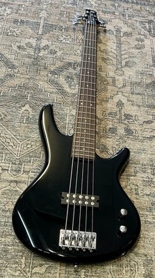 Ibanez 5-String Electric Bass Guitar 