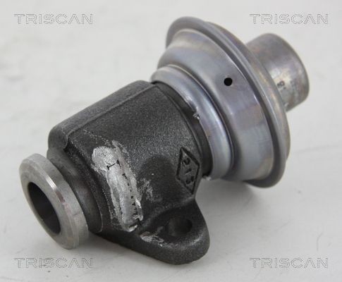 Triscan Agr-Ventil 8813 25006 FüR Renault-image
