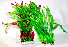 Aquarium Plastic Plant D cor 13-1/2  Tall Set NEW 770