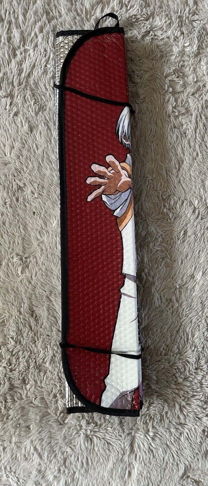 Picture 5 of 5