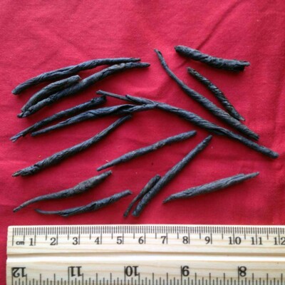 XYP Kudingcha Ku Ding Cha  苦丁茶 100Gram