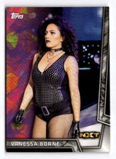 2018 Topps WWE Women's Division Vanessa Borne 45 Pro Wrestling Card