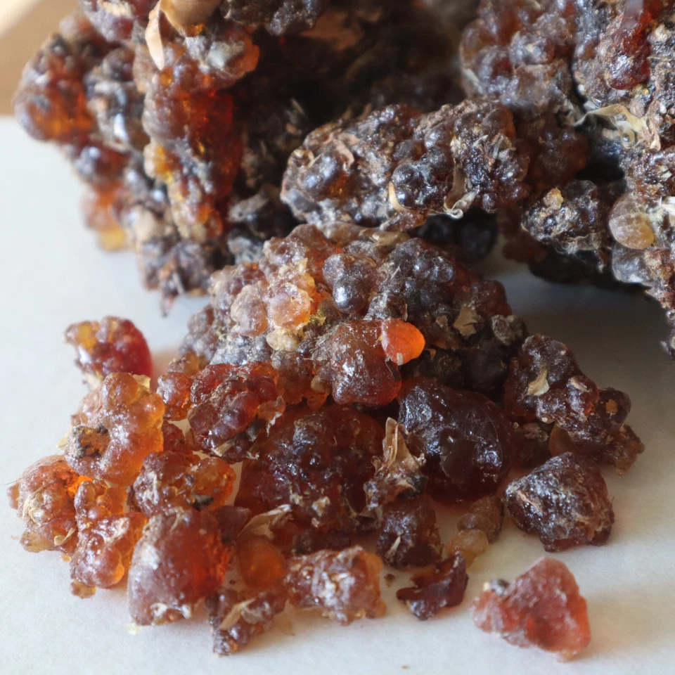 Incienso Premium de resina de mirra Commiphora Kua de primer grado Socotra, Yemen (8 oz.) Foto 2 de 4