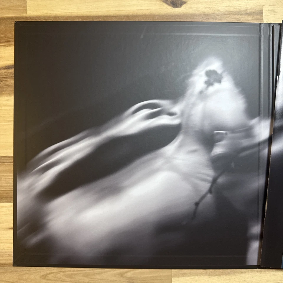 Dir En Grey – 落ちた事のある空 | Tour20 - Bild 2 von 4