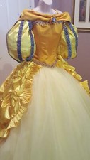 Beauty and the Beast Custom Costume