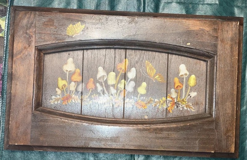 Vintage Looking Wooden Wall Picture Hanging With Mushrooms