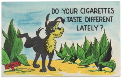 DELTONA FL/FLORIDA Postcard CIGARETTES TASTE DIFFERENT Dog/Tobacco, BETHESDA  MD
