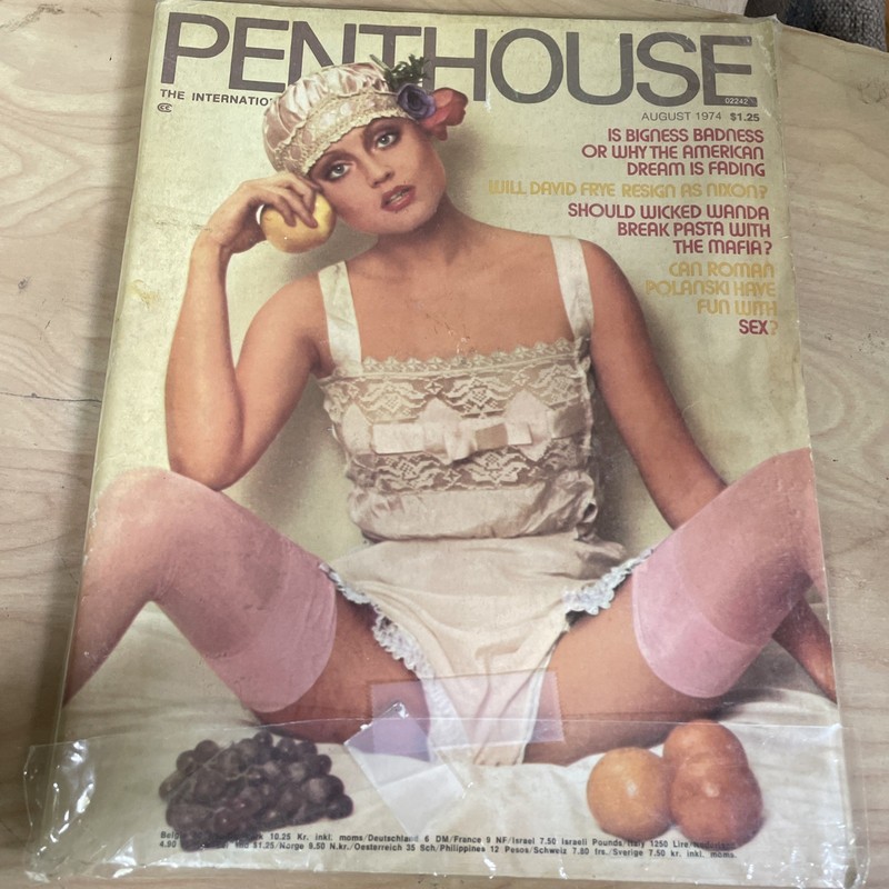 Penthouse Magazine August 1974 STACEY CAMERON Pinup ROMAN POLANSKI  Vintage 