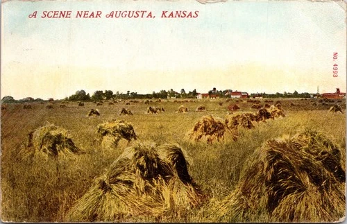 Wheat Field Scene Near Augusta Kansas KS DB Postcard XA22