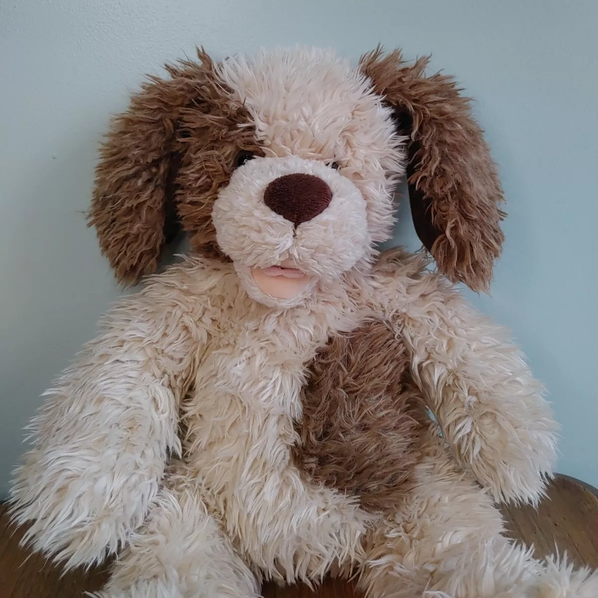 Dog bear cheap toy