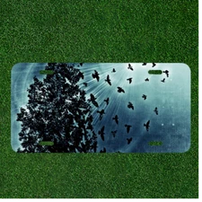 Custom Personalized License Plate Auto Tag With Gorgeous Birds By Blue Light