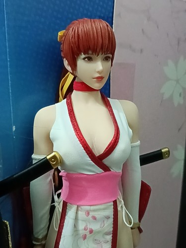 SUPER DUCK KASUMI Dead or Alive 1/6 Clothing Sets With Body S10D Figures SET073 - Picture 12 of 14
