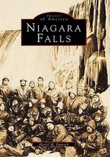 Niagara Falls by Daniel M. Dumych (English) Paperback Book