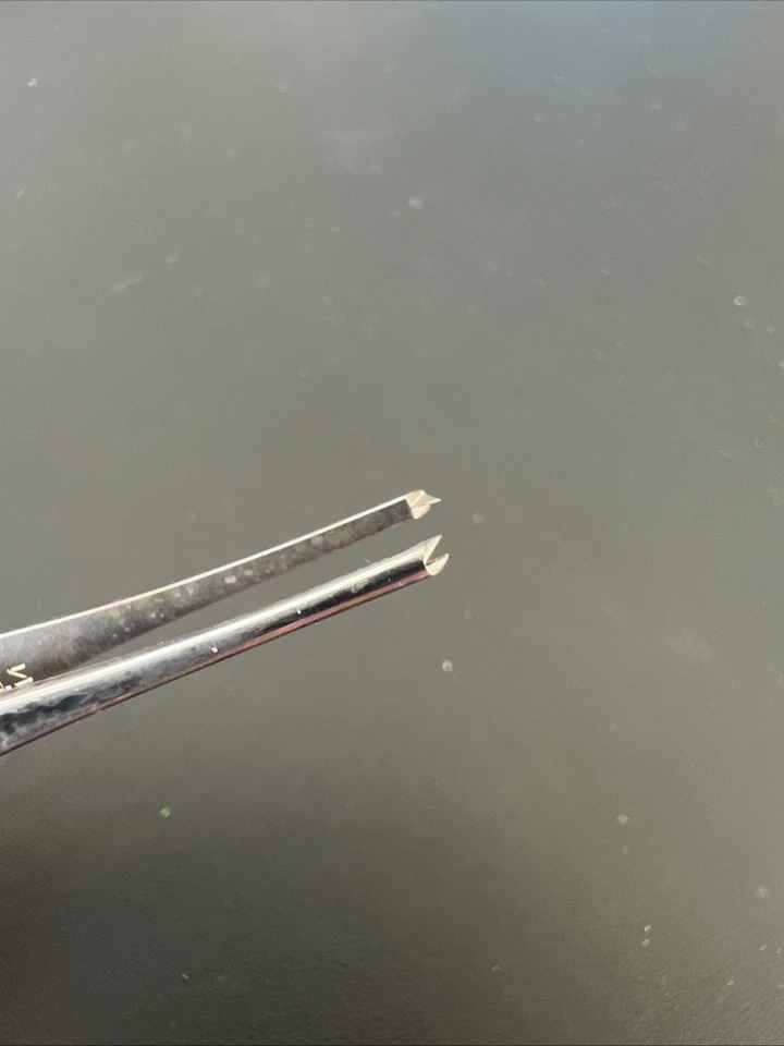 Pinzas de acero inoxidable Storz USA E-1685 - Instrumento quirúrgico oftálmico, reutilizables Foto 2 de 3