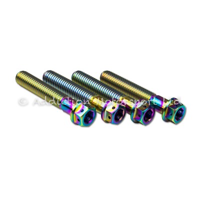 Rainbow Titanium Front Fork Pinch Screws Bolt M8x45 for Kawasaki